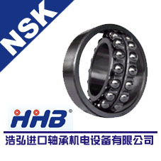 ɽNSK2216