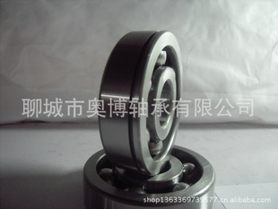 ~110mm1.25kgNSK30TAC