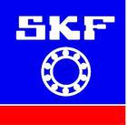 skfskf62036203-2z6203-2RS1н