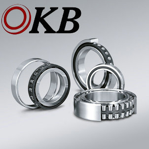 32006_NSK32006X17*30*55_