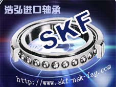 SKFFAG1207/1206