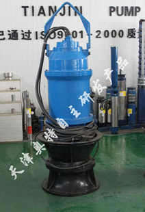 900QZB-125Ǳˮ
