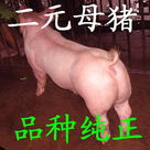 ۶ԪĸʱлӭϿͻǰ