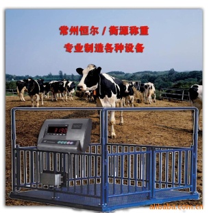 牲畜秤/牲口称/电子衡器/特种秤