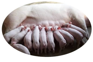 ֱԼĸԴ㣬