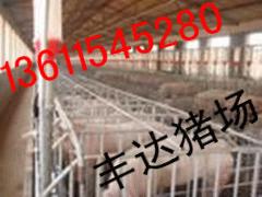 麣۸