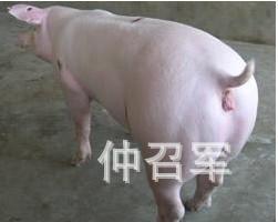 شԪԪƷּ۸Żݣ