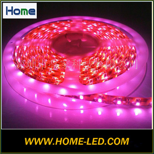 ƷLEDLEDƴ3528SMD