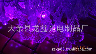 LEDҼ
