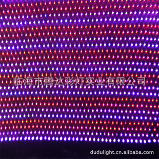 ledͬʥյ2*2400ͷ