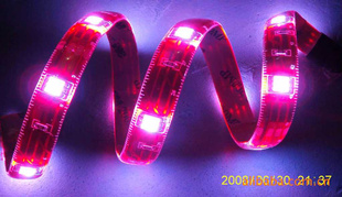 ƷLED5050ˮLED5050Ƭ