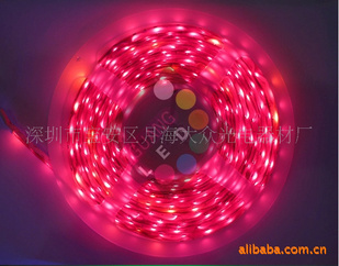 ƷLEDװƴ(3528SMD-60PCS/һ)