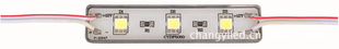 3LED5050ƬģģˮLEDģ