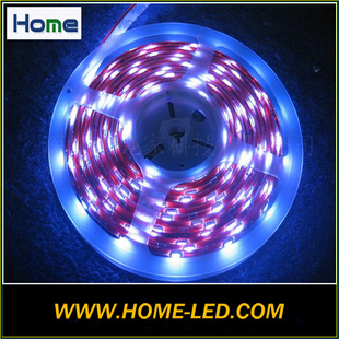 Ʒʼλƽֵ5050ƬLED