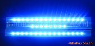 WST-1337LEDȫʵƬ