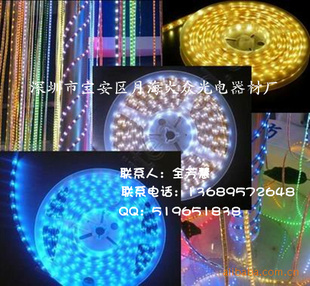 LED5050߲/LEDˮ