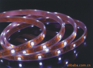 ߲LEDƬ50503528