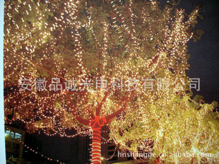 LEDˮƴ