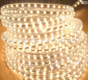 ledƴ3528Ƭ60/220V
