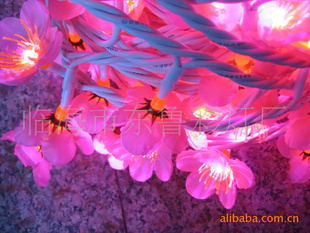 LEDƴ