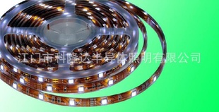 ¡LED,12V5050׹IP68ˮLED