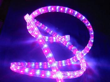 LEDʺƹ