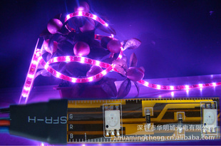 LED߲LEDRGBLED605050LED