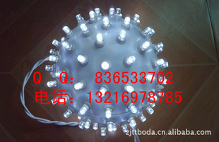 ֱLEDݵ110V220Vʥ
