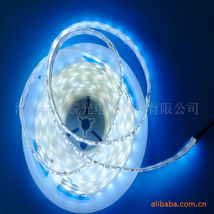 LED3528νˮ