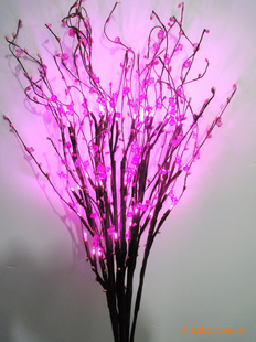 230V֦LEDۺʥ㽭ʥֱ