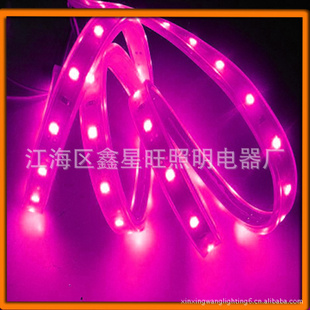 ҸԼ۱LEDƬ505060