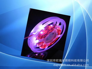 LED---30/