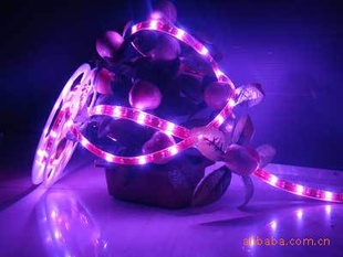 3528׹ⲻˮ5050,LEDƴ(ͼ)