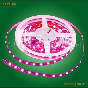 LED.ֱ5050.3528׹ⲻˮ