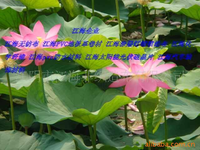 沼Ϳ㲼ǿ沼ֲ㣬Ϳһ