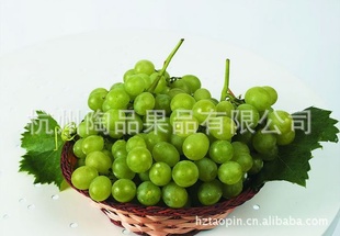 新品直销新鲜水晶葡萄(图)