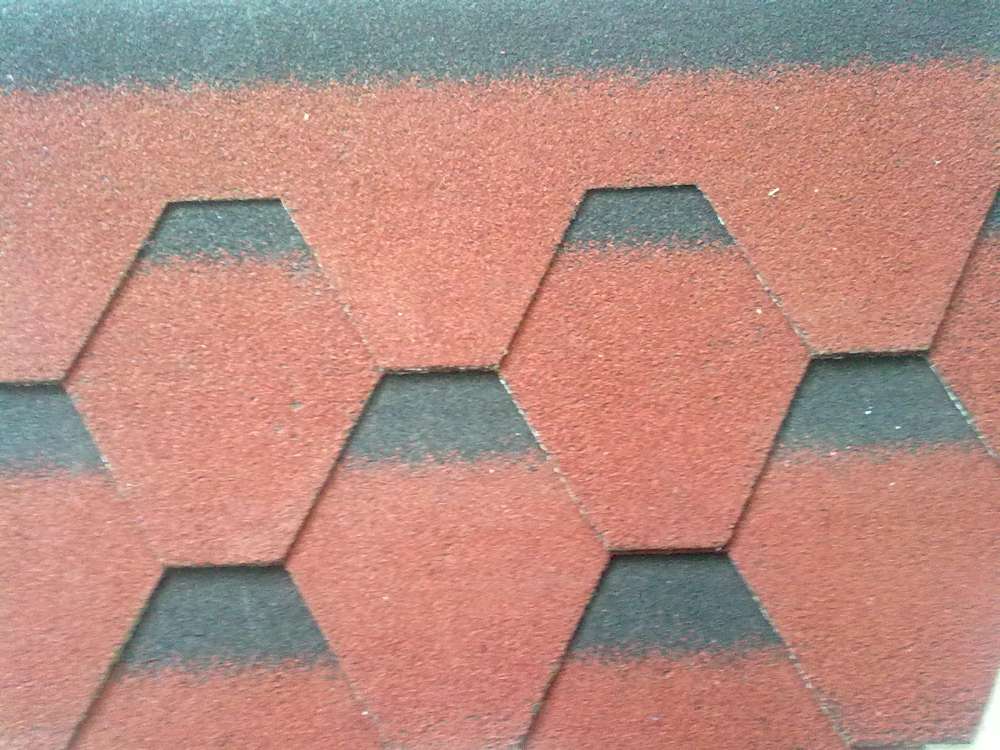 Ӧ㲣ձ߲Ƭʵ
