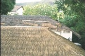 ӦϷéݣéݣϼé