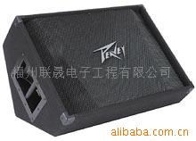 PEAVEY15M