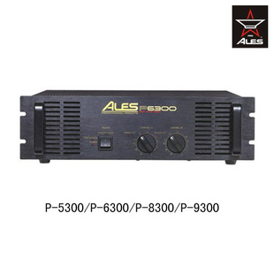 ALES˿쳧̨P-9300