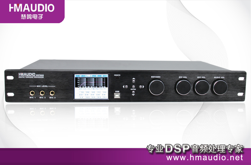 ܵЧDSP9600