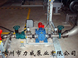 XHB65޶ʽݻ