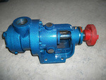 NYP-10ճȱáڻʽճȱáճڳݱ