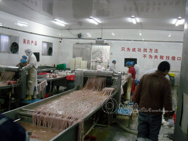 力华不锈钢食品泵-高粘度泵浆料泵