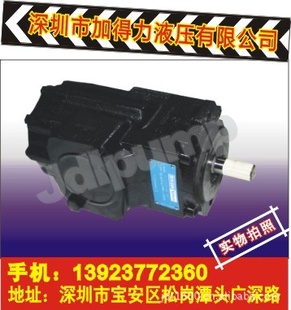 T6DC-038-003-1R00-C100ѹ綯
