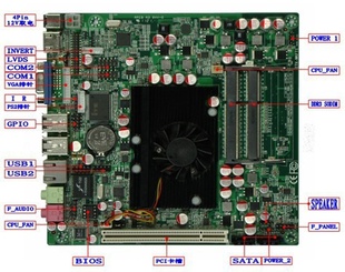 ,AMD,ɡOEMȫ걣