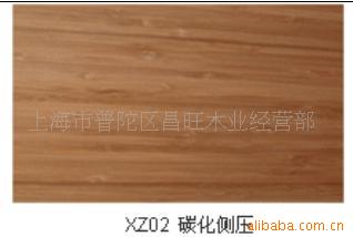 ̩XZ02(̼ѹ)ذ