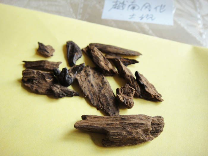 ԽϳԽϻݰ绯ϻ޹
