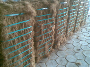 ӡҬ˿HIGHSEASALEߺ۸Ҭ˿KeralaIndia