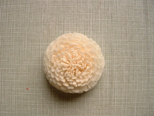 4CMľգ20cm